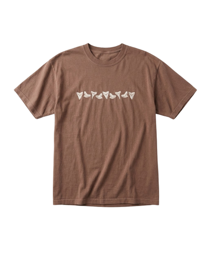 Sandy Summer Collection