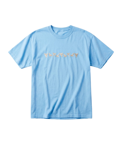 Sandy Summer Collection